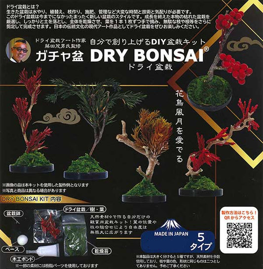 Do-it-yourself bonsai kit DRY BONSAI (30 pcs.)